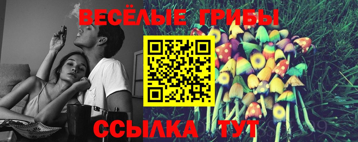 Псилоцибиновые грибы ЛСД  Вход с VPN  Кыштым  Галлюциногенные грибы мухоморы 
